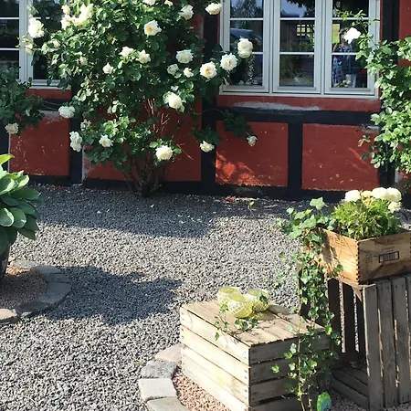 Bed & Breakfast Lolland Sollested (Lolland)