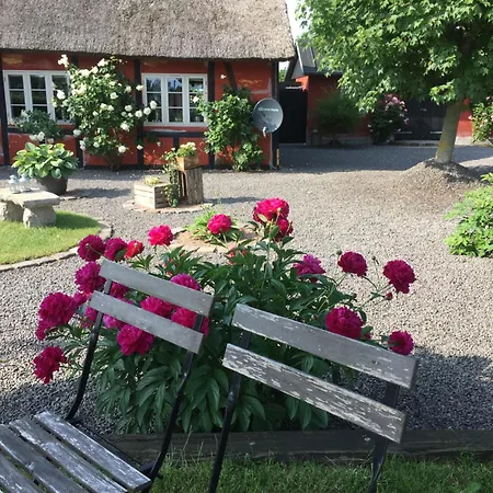 Frühstückspension Lolland *